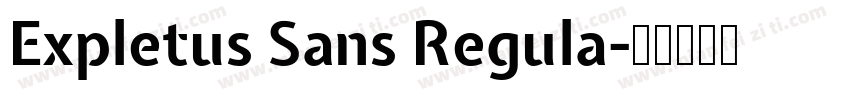 Expletus Sans Regula字体转换